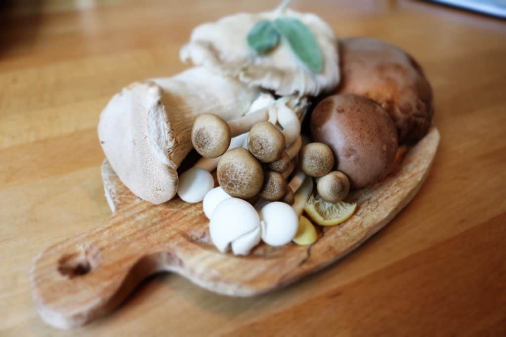 Benefits of mushrooms